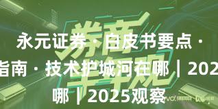 永元证券 · 白皮书要点 · 避坑指南 · 技术护城河在哪｜2025观察